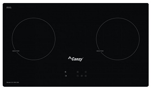 Bếp Từ Canzy CZ500-2ID